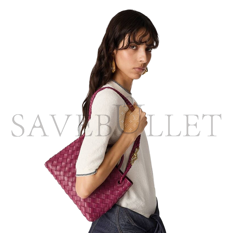 BOTTEGA VENETA SMALL ANDIAMO 743568 (25*22*10.5cm)